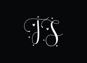 TS letter logo and monogram logo