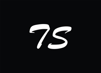 TS letter logo and monogram logo
