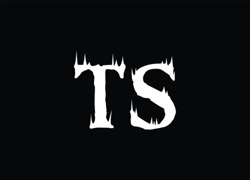 TS letter logo and monogram logo