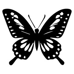 Butterfly vector silhouette illustration black color