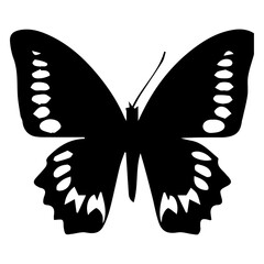 Butterfly vector silhouette illustration black color