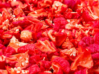 Red hot Chili fruits cut on plate in close up view