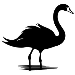 Swan vector silhouette illustration black color