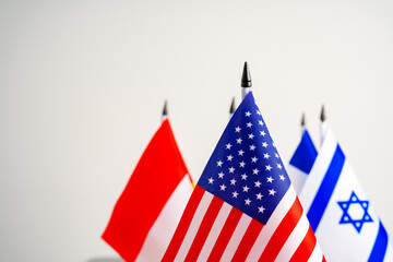 Lots of small national flags on table
