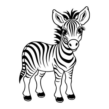 zebra coloring book. Vector illustration