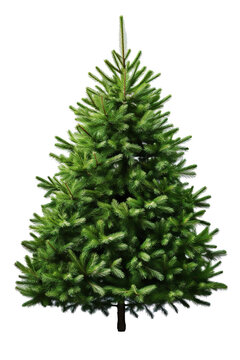 green Christmas tree, detailed and sharp image, white background PNG