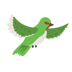 little color bird flying