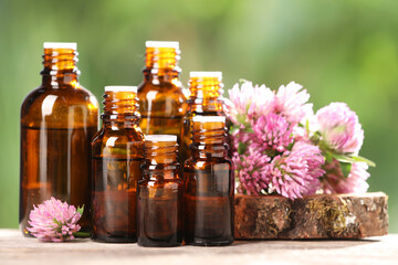 Bottles with essential oil and clover flowers on wooden table against blurred green background, closeup