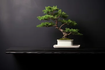 Rolgordijnen miniature bonsai tree on a minimalist black shelf © Natalia