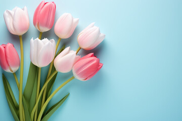Fototapeta premium Beautiful bouquet of pink and white tulips displayed on vibrant blue background. Perfect for adding touch of elegance and freshness to any design or project.