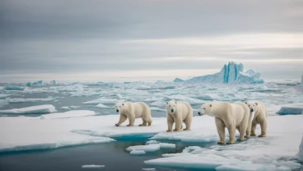 Foto auf Alu-Dibond Arctic landscape with polar bears, An icy Arctic landscape with polar bears roaming across frozen tundra and icebergs in the distance, generative Ai © Bright