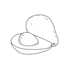 vector hand drawn avocado on white background