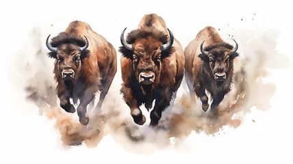 Küchenrückwand glas motiv watercolor drawing of a group of bulls running on a white background. © kichigin19