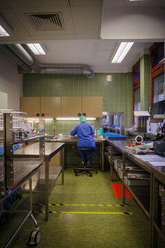 an employee of a sterilization department in a hospital cleans the instruments