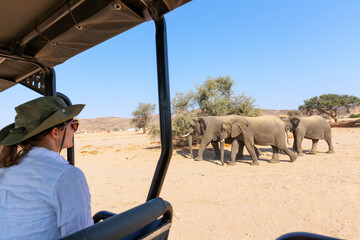 Rear view of girl on safari in Africa observing elephants from open vehicle
