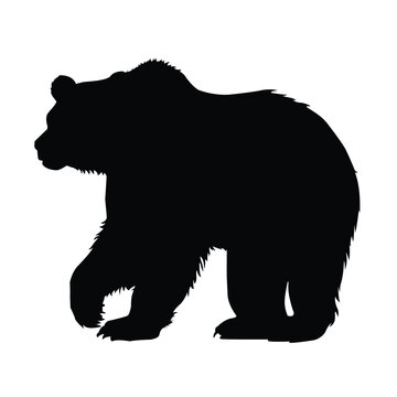 Bear Silhouette on White Background