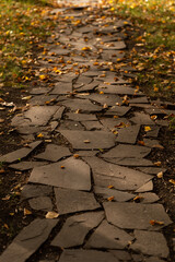 a path stretching into the distance with autumn leaves, without people