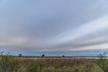Fall scenery on the Darß peninsula, Baltic Sea, Germany