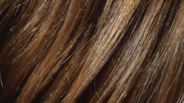 Beautiful healthy long wavy flowing brown hair close up. Dyed natural hair, coloring, extensions, treatment. Hair care.