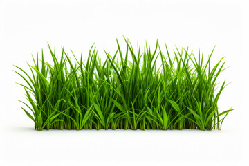 Obraz premium Close up of grass field and green grass.