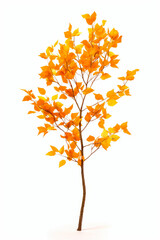 Obraz premium Tree with yellow leaves on it against white background.