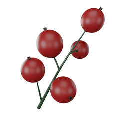 Merry Christmas holly berries on ilex branch, mistletoe icon in cartoon illustration isolated on transparent background PNG 3d rendering.