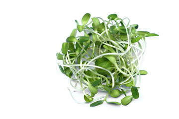 Fresh green young sunflower sprouts on white background. Concept, healthy food. organic vegetable,...