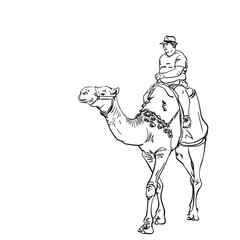 Tourist on camel, Overweight man in hat riding camel, Hand drawn vector sketch