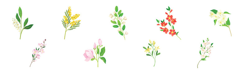 Blooming Flower Twig and Branch with Leaf Vector Set
