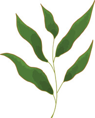 Leaves elements. Garden floral plants vector illustration.