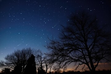 a cluster of stars in a clear night sky