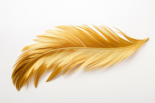 Pluma dorada en fondo blanco.