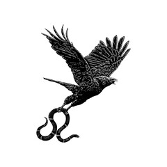 eagle and snake hand drawing vector isolated on background.