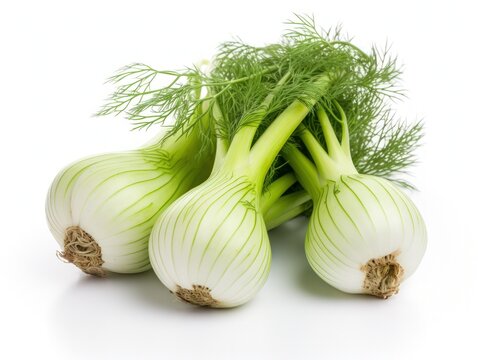 Florence fennel isolated on white background one fresh bulb