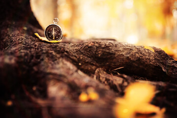 Old vintage compass in the forest with leaves at the background.