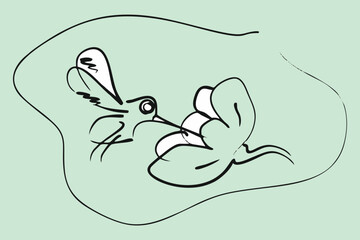 Hummingbird and flower. Vector drawing, eps