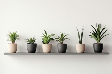 Obraz premium Houseplants In Pots Against Wall Background Realistic Image