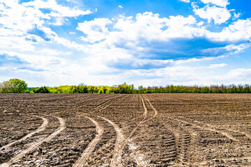 Photography on theme big empty farm field for organic harvest