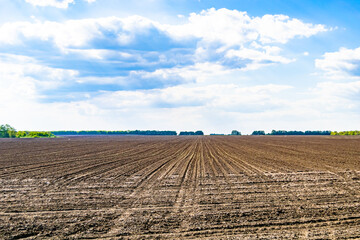 Photography on theme big empty farm field for organic harvest