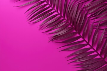 Fototapeta na wymiar Minimalist Style With Tropical Palm Leaves In Viva Magenta