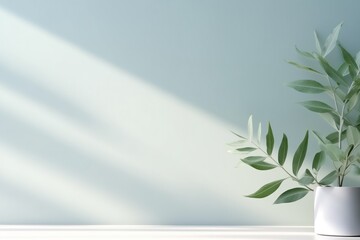 Minimalistic Light Background With Blurred Foliage Shadow