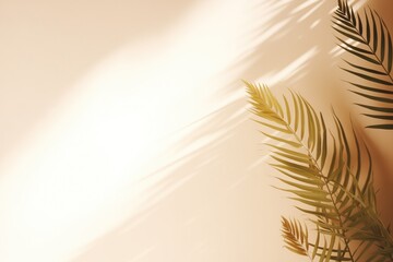 Minimalistic Light Background With Blurred Foliage Shadow
