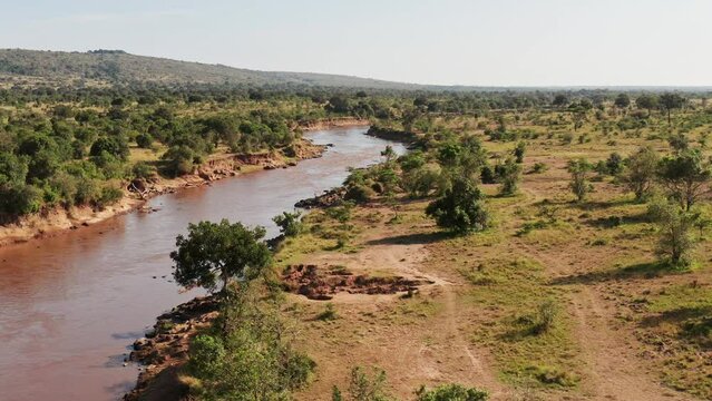 Maasai Mara Aerial drone shot of Masai Mara River Landscape Scenery in Africa, Kenya From Above with Beautiful Trees Greenery and Lush Green, Wide High Establishing Shot