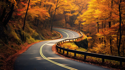A winding road in the middle of a forest in autumn. - obrazy, fototapety, plakaty