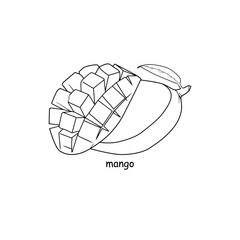 Hand drawn mango fruits on white background.
