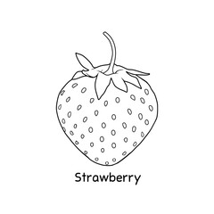 Hand drawn strawberry fruits on white background.
