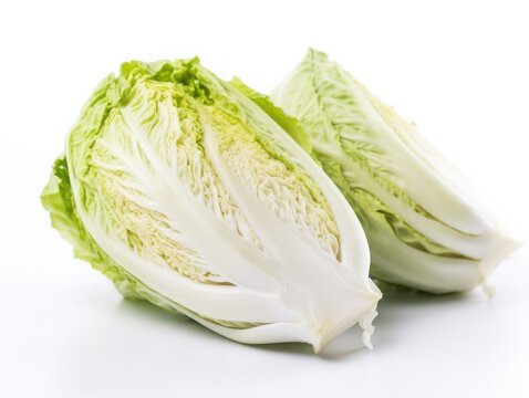 Napa cabbage isolated on white background