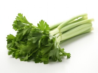 Fresh leaf celery isolated over a white background