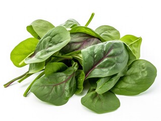 Ceylon spinach or Malabar spinach isolated on white background