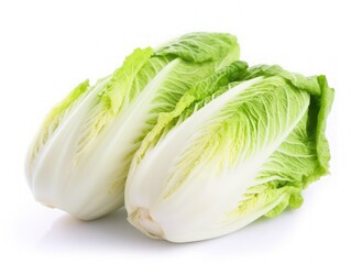Napa cabbage isolated on white background